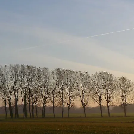 Les Houx De Mathieu Ferienhaus *