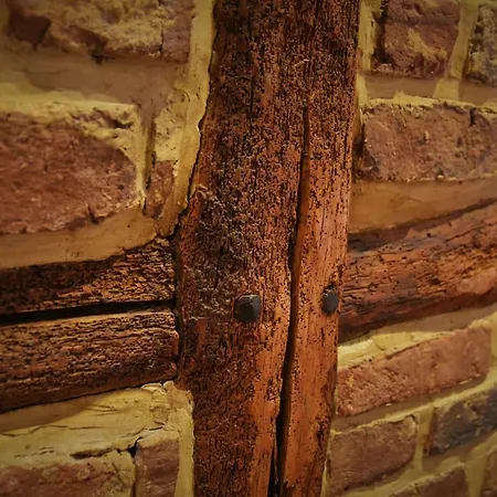 Les Houx De Mathieu Engis