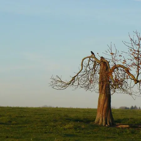 Semesterbostad Les Houx De Mathieu