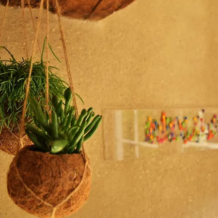 Les Houx De Mathieu * Engis